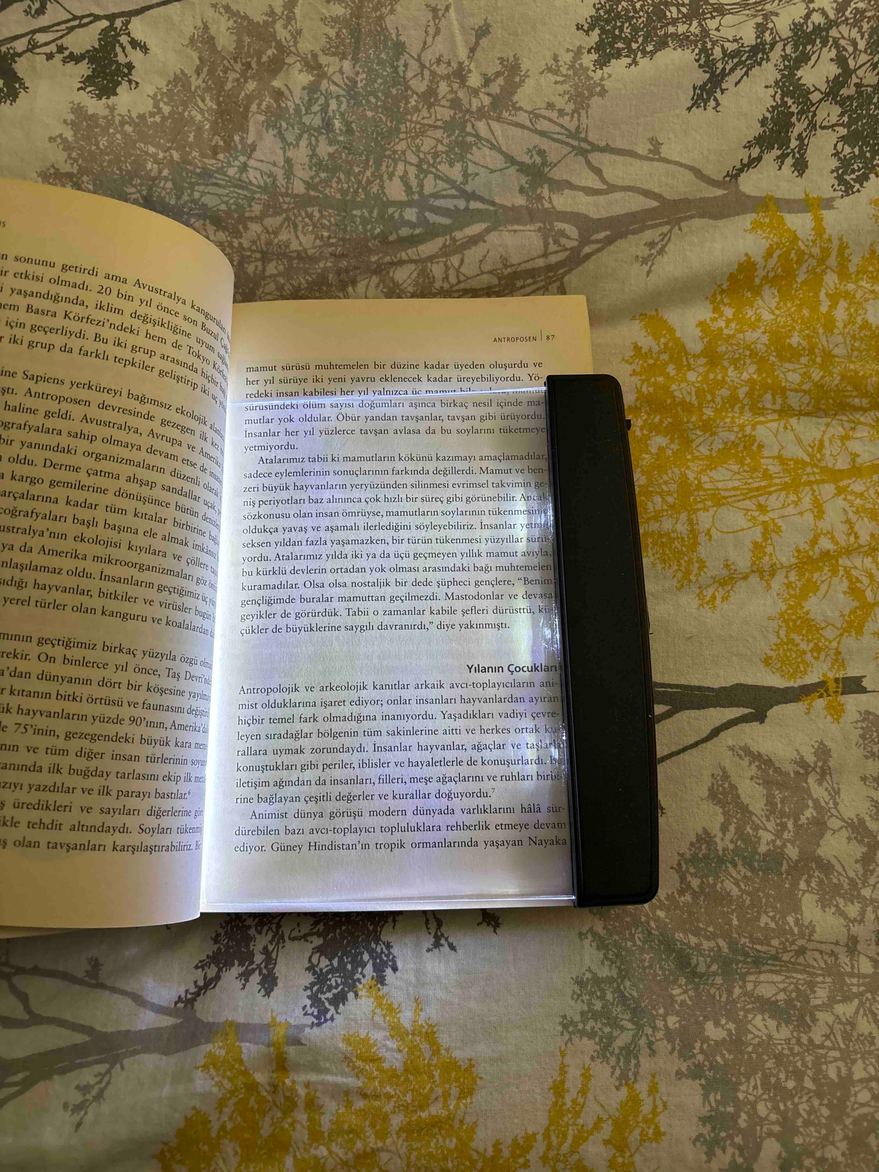 Trendyol_Urun (2).jpg__PID:00814f32-a584-4caa-9127-e61e9917c867